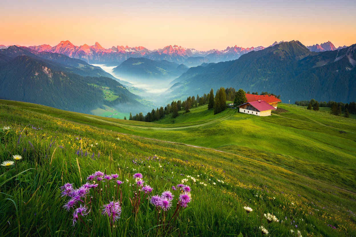 Panorama der bayerischen Alpen mit Bergsee und Almwiesen